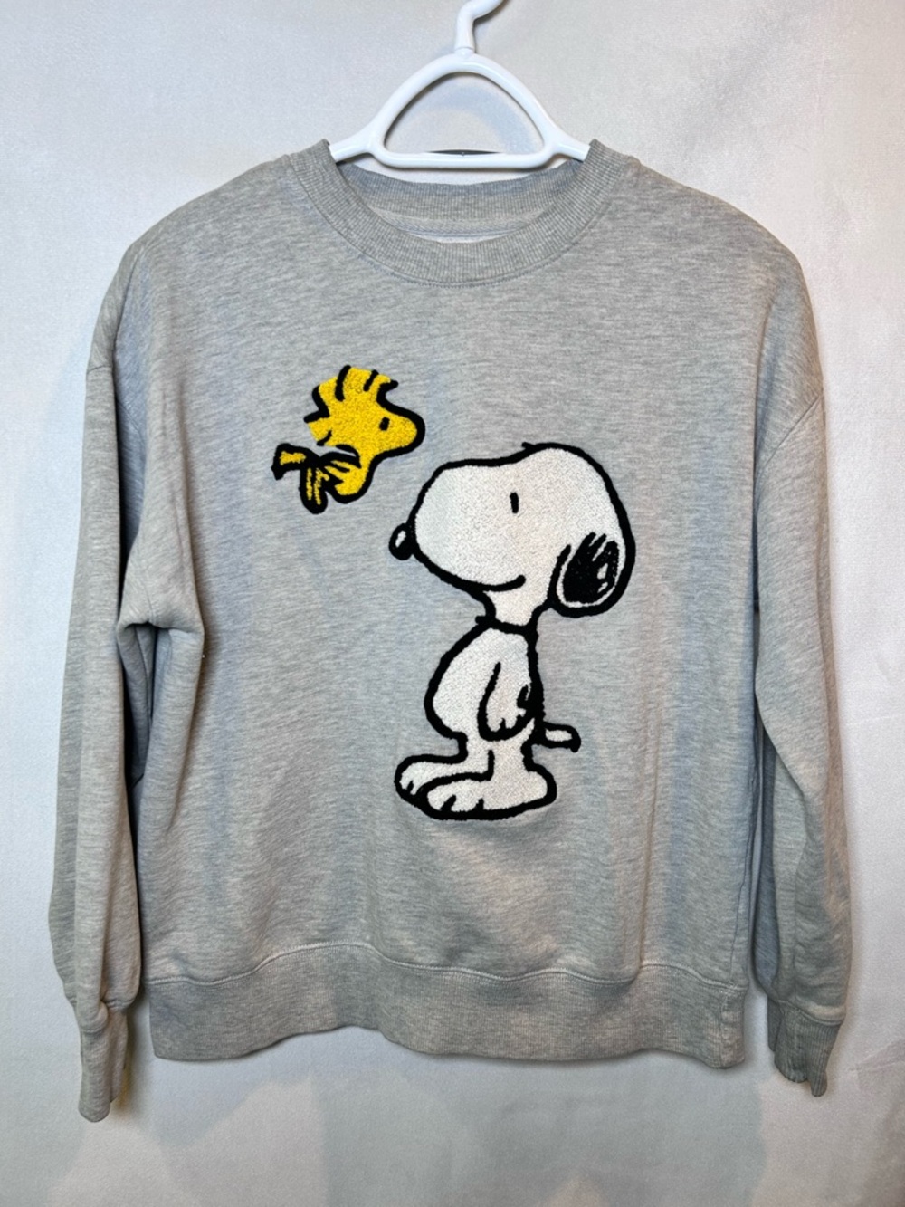 Peanuts Snoopy & Woodstock Chenille Embroidered Charlie Brown Sweatshirt. Size S